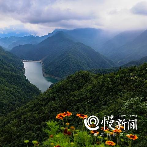 武隆接龙乡最新消息速递