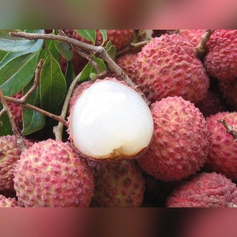 中山房产最新报价与市场走势分析