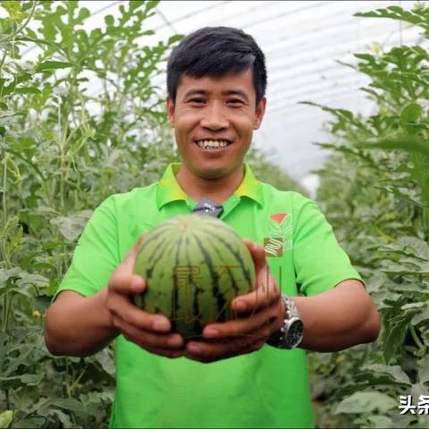 涿州义和庄最新消息报道