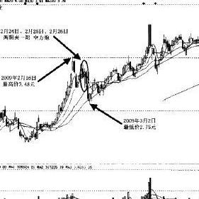 禾嘉股份传闻深度剖析