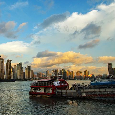 搜狐会员兑换码大全，最新兑换攻略及使用方法