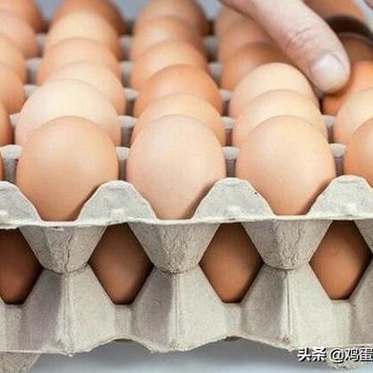 山东鸡蛋最新价格行情及分析预测