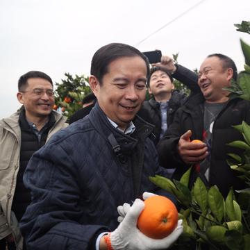 奉节农业农村更新通知公告