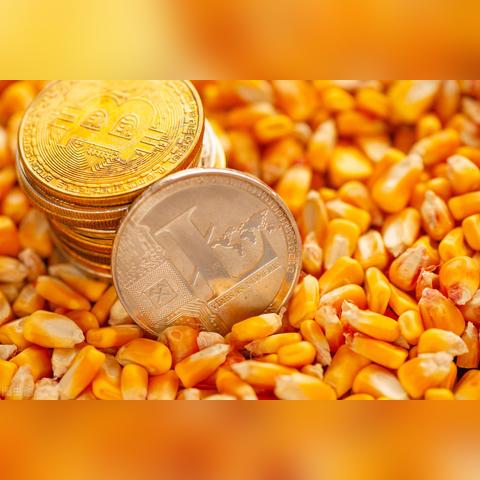 诸城最新招聘信息汇总