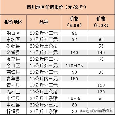 肉鸡苗最新价格行情及分析