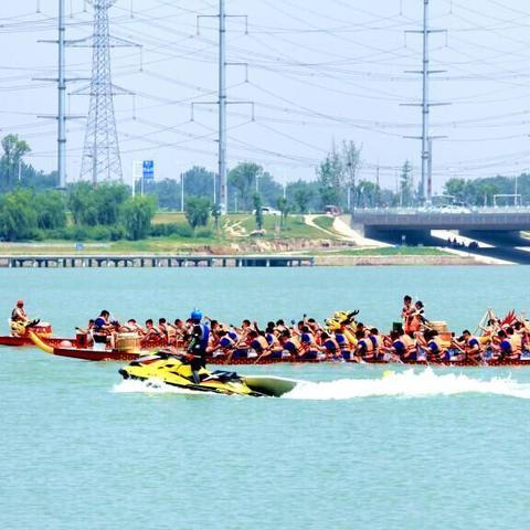 龙都国际最新资讯概览