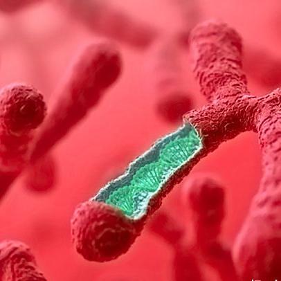 Y2002最新图片概览，数据背后的故事揭秘