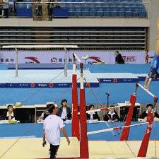 Y2002最新图片概览,数据背后的故事揭秘