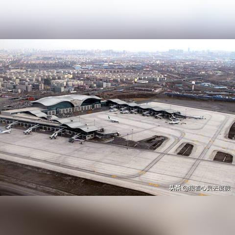 最新人与动物关系报告，展望未来的共生之道（2025年展望）