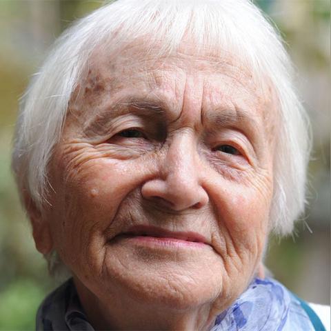 媳妇暴打婆婆事件调查揭秘,数据背后的真相