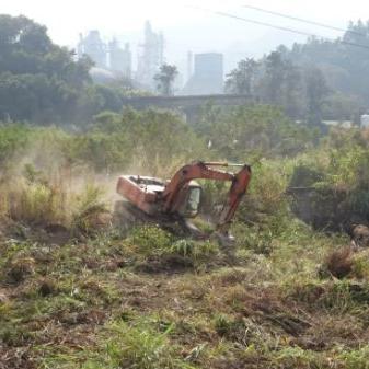 龙岩东山板块最新资讯速递