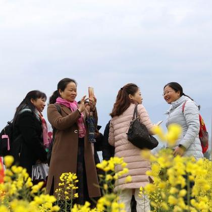 腾泸公路最新动态消息