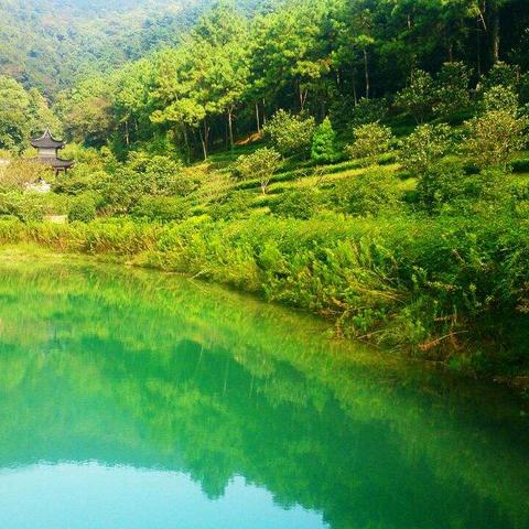 无锡高楼新规划,塑造现代城市新貌