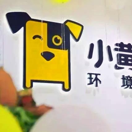 揭秘未来风口项目，数据驱动发展展望（XXXX年）