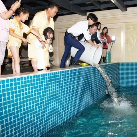 揭秘昆明荤桑拿,独特休闲体验之旅(最新报道)