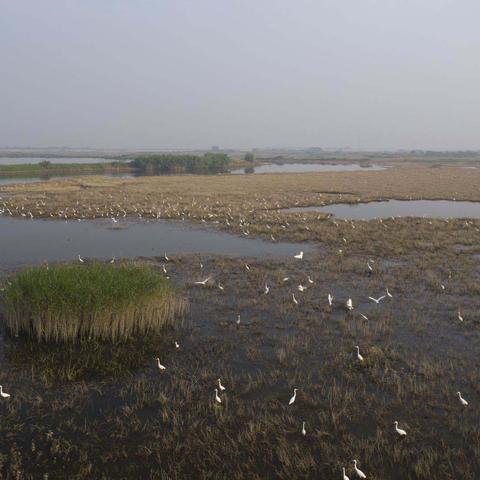 永修新闻热点速递