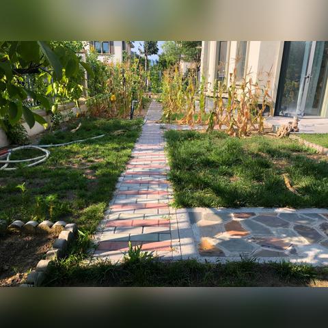 上谷水郡最新进展报告速递