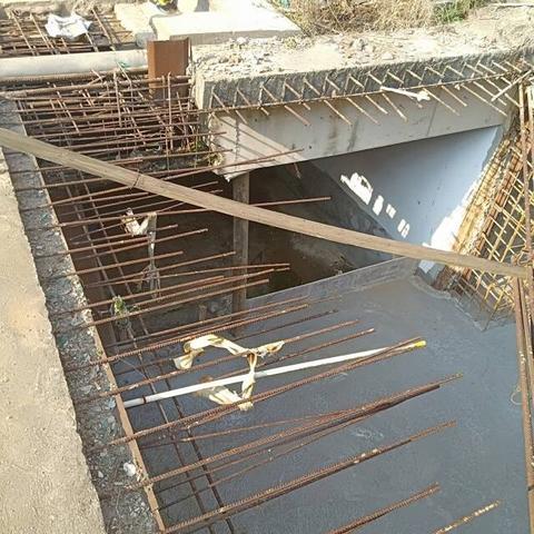 熙庭原著最新进展揭秘,动态更新与变化探究