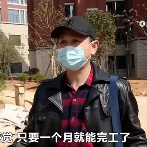 熙庭原著最新进展揭秘,动态更新与变化探究