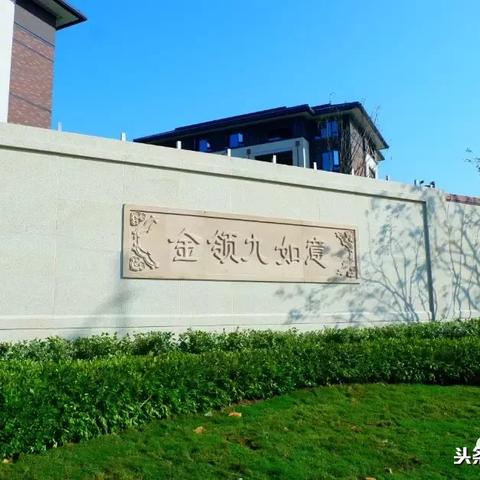 郑东新区楼盘全面解析报告