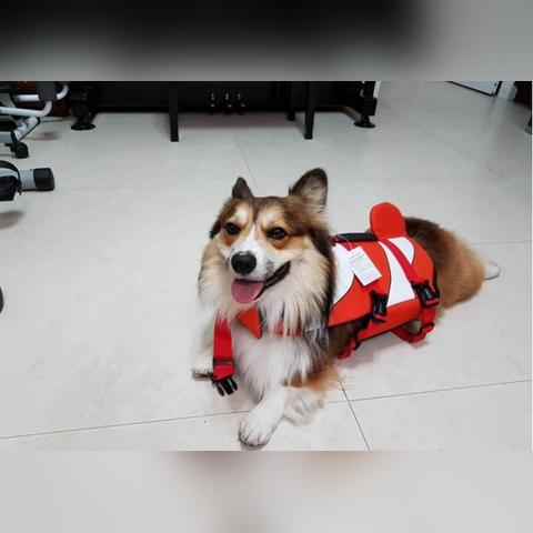 厦门太古飞机员工待遇最新解析