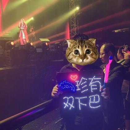 "2025新澳门正版免费挂牌灯牌"的:精细化方案决策_19-47-06-13-41-23 T:225.74