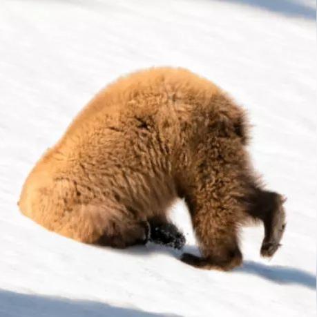 ＂2025澳门天天六开奖彩免费＂的：现代化解析定义_10-25-03-41-20-04 T：251.44