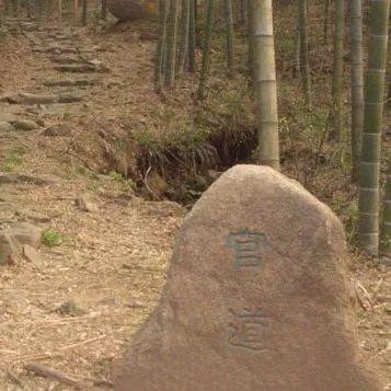 常宁国道规划最新动态