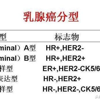 最新Luminal分型研究揭秘乳腺癌精准诊断与治疗策略（数据报告）
