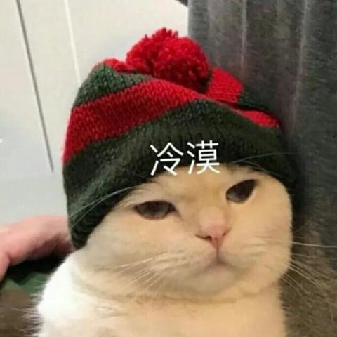 最新真人动态表情包，重塑沟通新体验