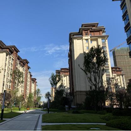 青白江最新楼盘深度解析