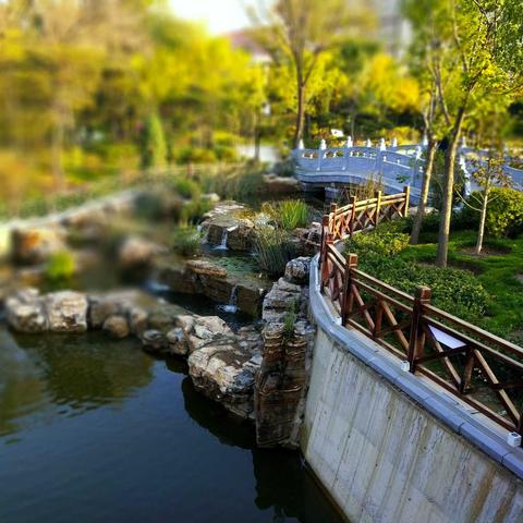 太原迎泽公园最新消息更新