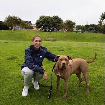 UC摩根集团最新消息深度解读