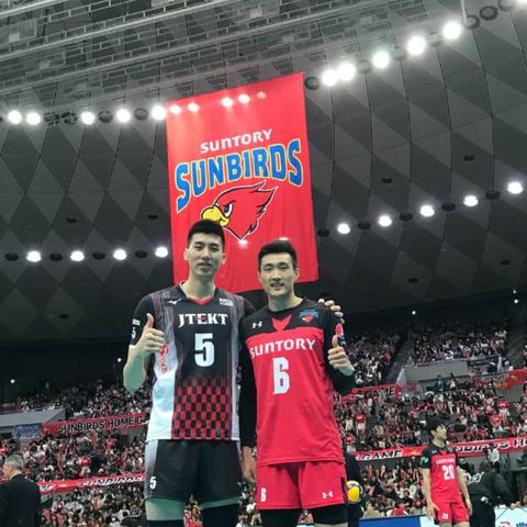 雷霆战机新辅助蜜蜂优势揭秘,影响与实战体验