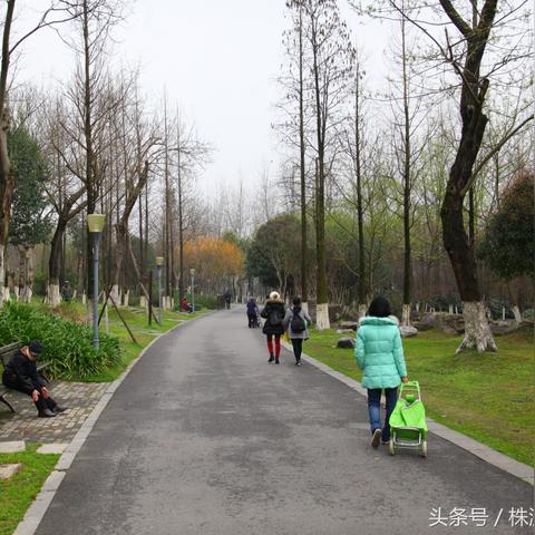 株洲河西最新房价走势分析