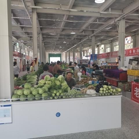 桥西蔬菜市场行情与最新价格报告