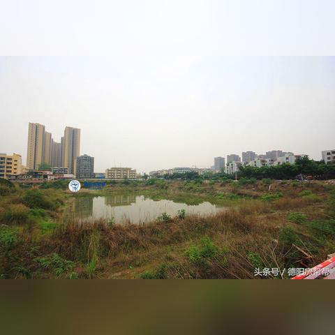 德阳楼市最新动态报道速递