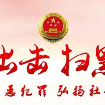 龙爱量子最新进展，开启量子科技新纪元