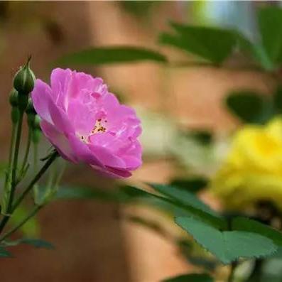 龙游城南招工信息大解析