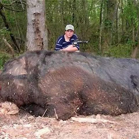 猎杀全球最新章节更新速递