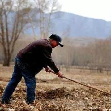 内蒙废铁价格行情最新分析