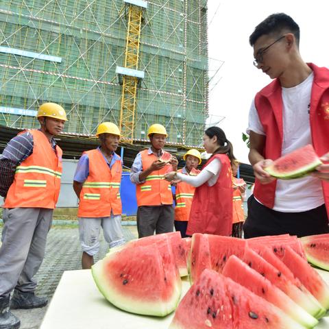 安徽西瓜价格行情最新分析