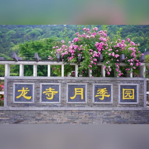 无锡烧烤师招聘启事