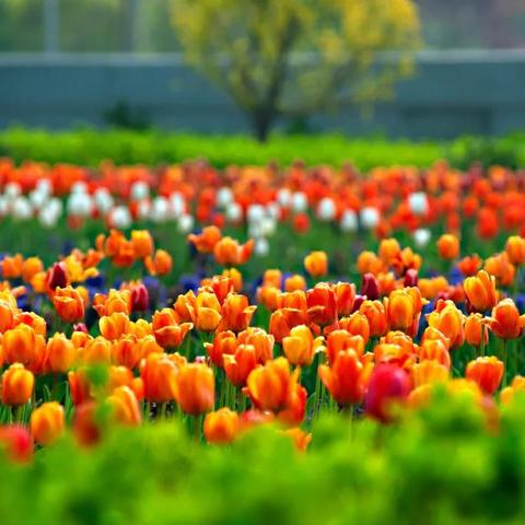 晋阳湖西岸发展动态,投资、建设齐驱并进