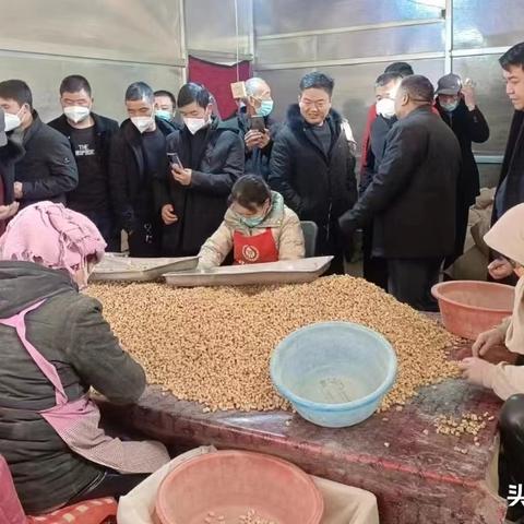 渭源党参价格走势分析