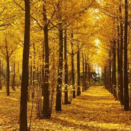 西安扫黄最新资讯报道