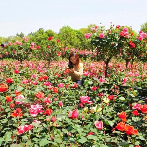 溧阳燕山新区规划揭秘,未来发展蓝图