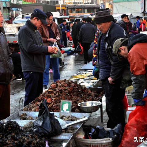 诚信买卖宝公告更新