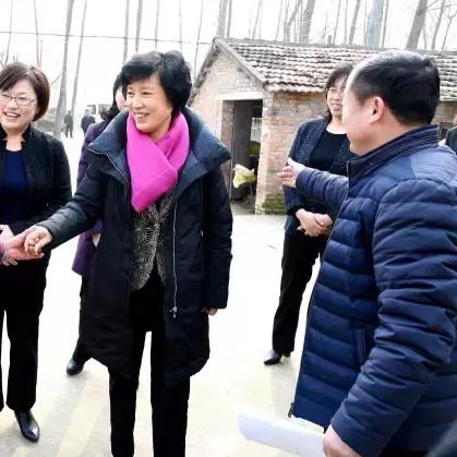 涟水徐集发展规划最新动态