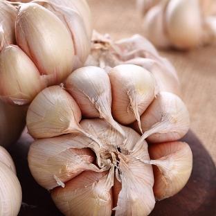 大蒜价格行情报告,最新市场分析(XXXX年XX月市场动态)